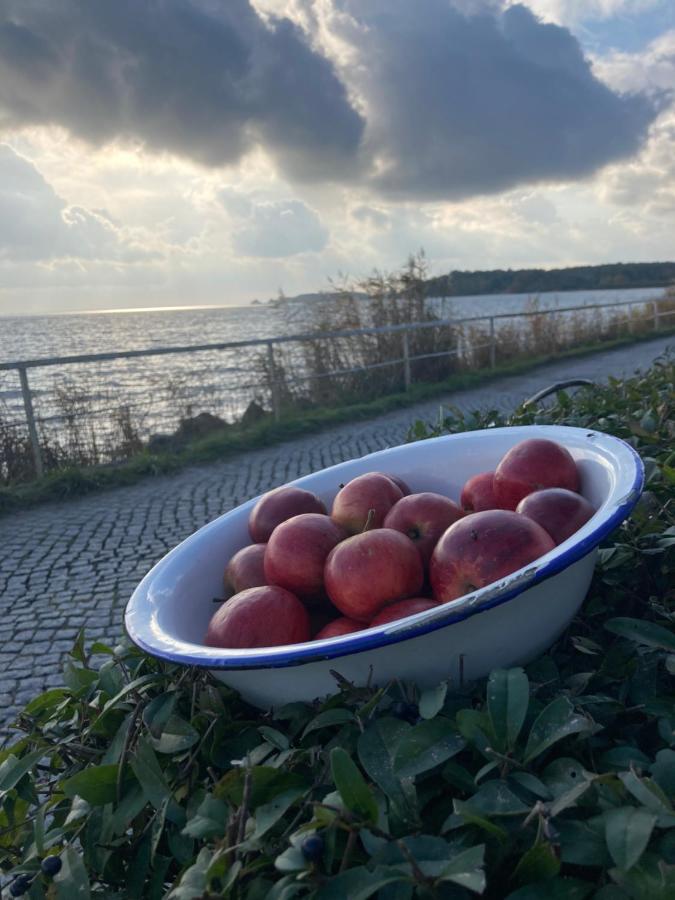Ich Kenne Ein Haus Am Meer Neuendorf  Exterior foto